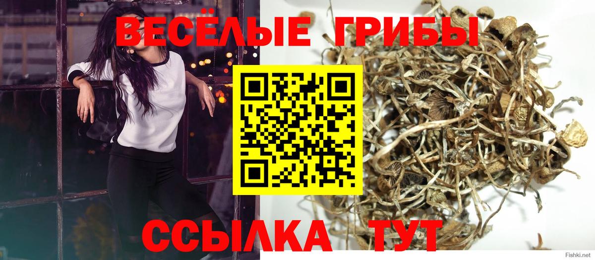 Галлюциногенные грибы прущие грибы Алапаевск